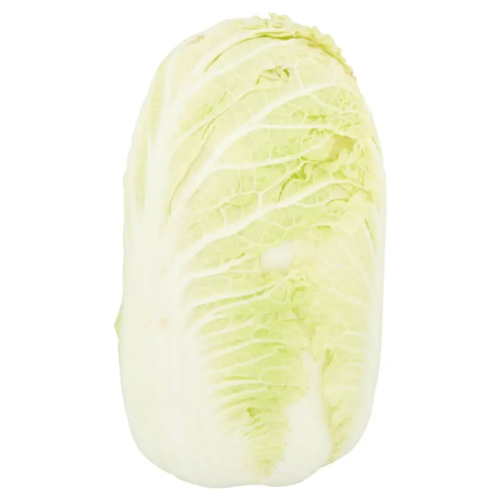 Chou Chinois/Chinese Cabbage