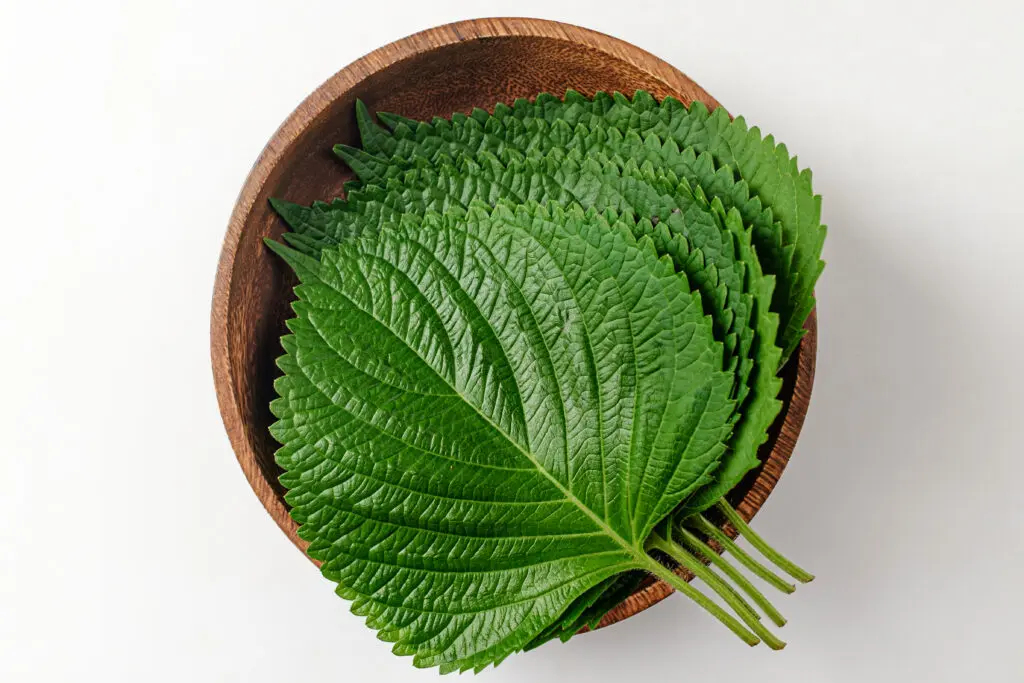 Perilla